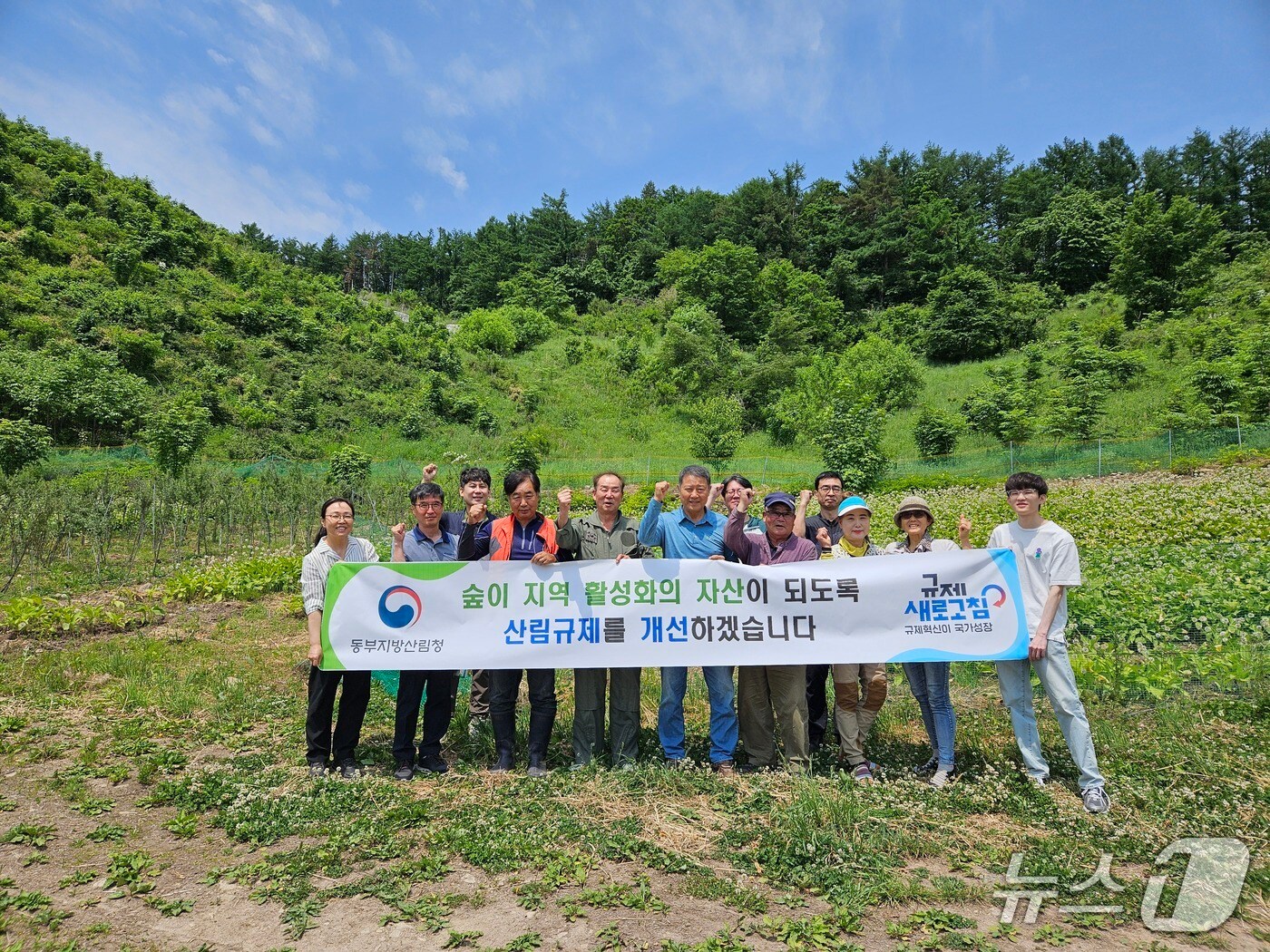 동부지방산림청, 태백서 규제 혁신 현장토론회 실시.&#40;동부산림청 제공, 재판매 및 DB 금지&#41; 2025.6.10/뉴스1