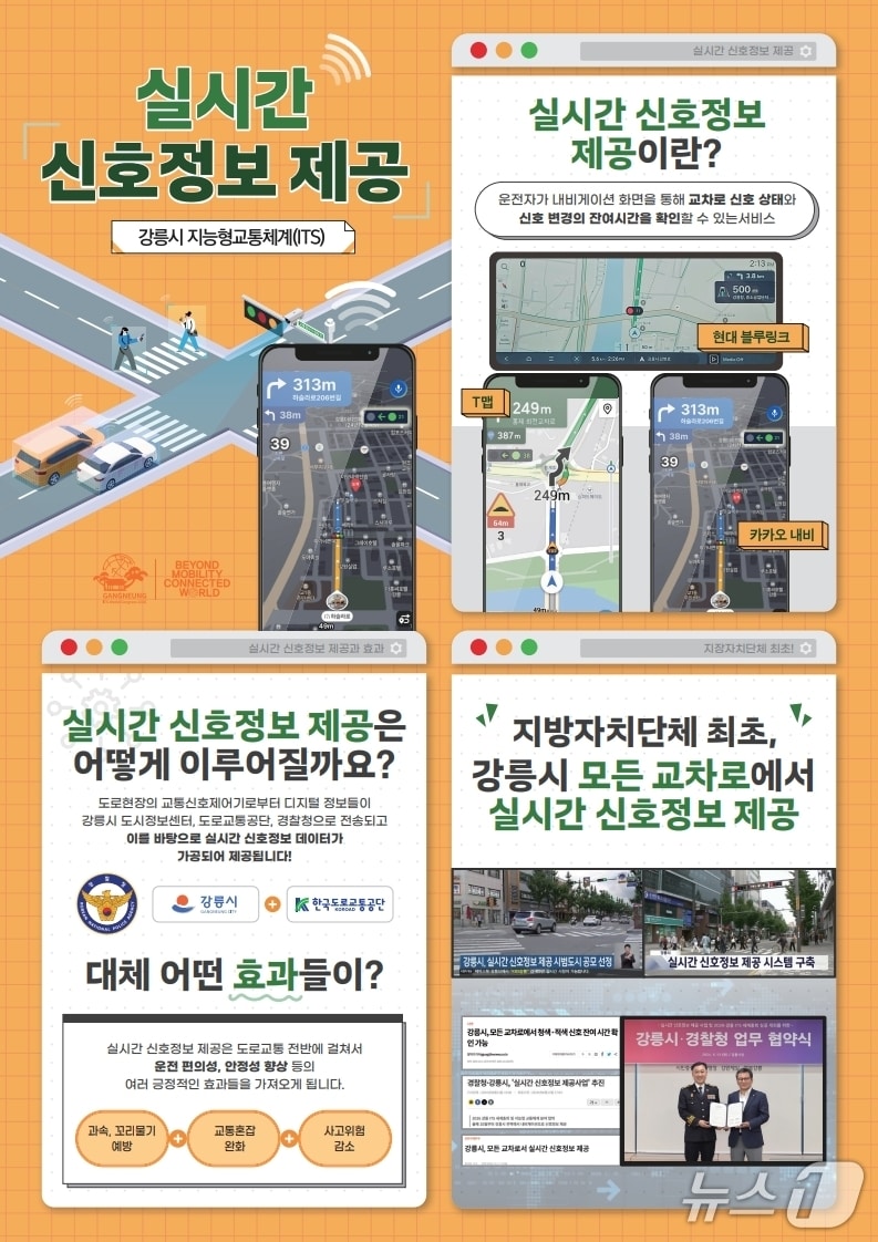 강릉시, 실시간 신호정보 내비게이션 제공 서비스 본격 확대.(강릉시 제공, 재판매 및 DB 금지) 2025.6.10/뉴스1