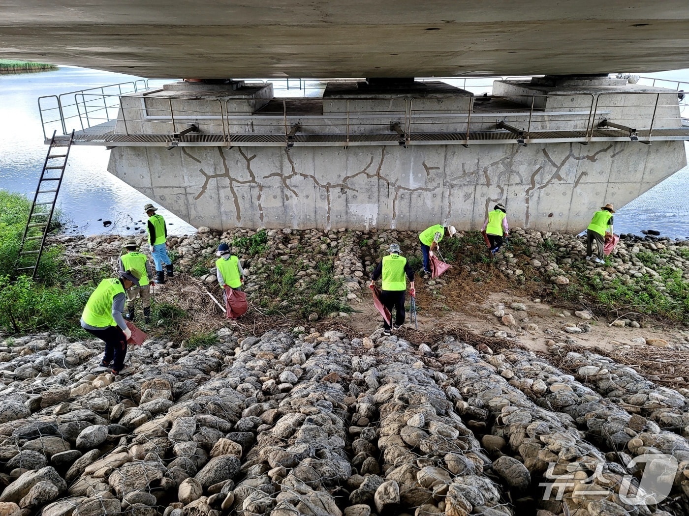 양양 남대천 환경 정화활동.&#40;양양군 제공, 재판매 및 DB 금지&#41; 2025.6.10/뉴스1