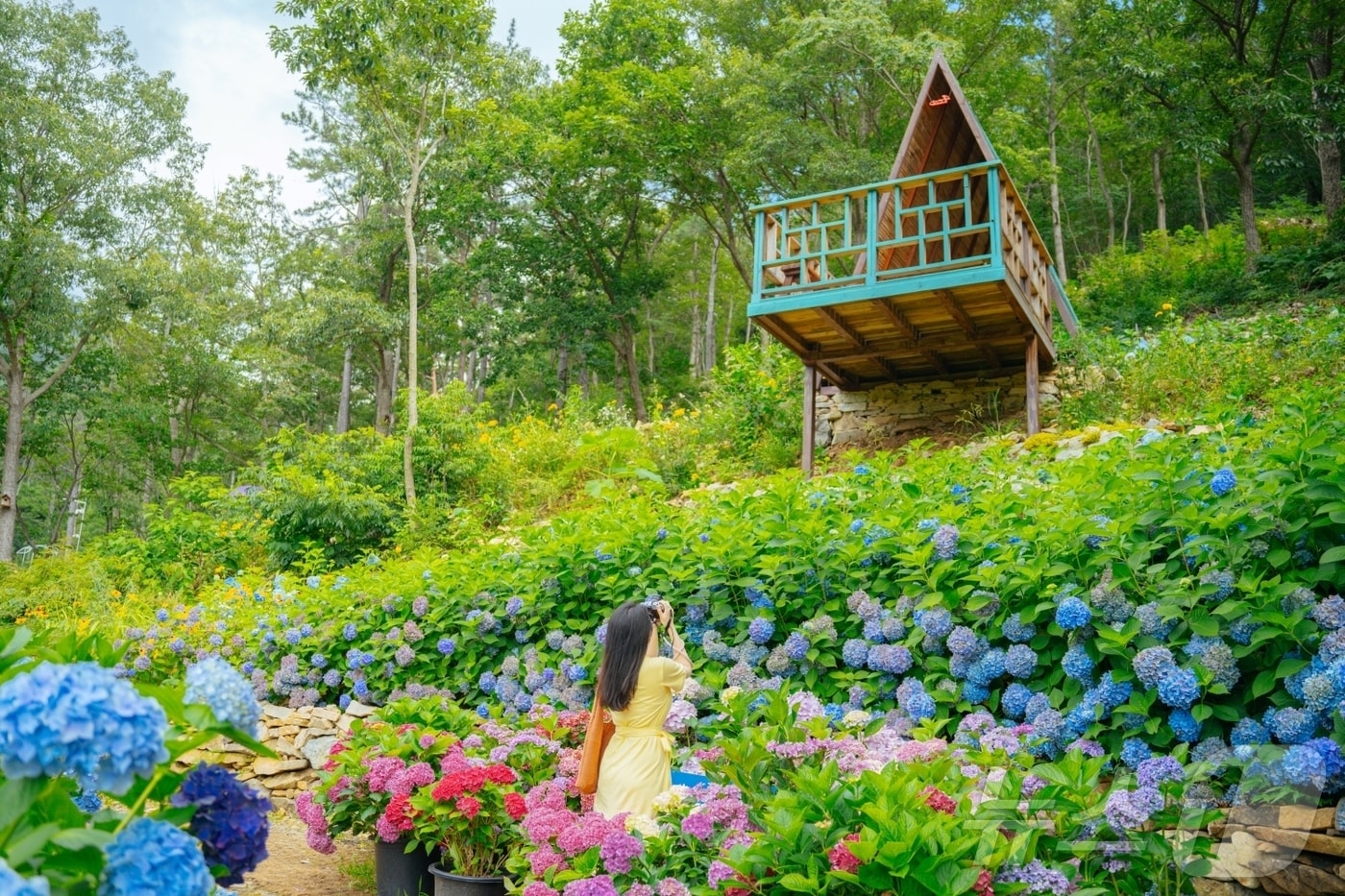 해남 포레스트수목원 (해남군 제공. 재판매 및 DB금지) /뉴스1