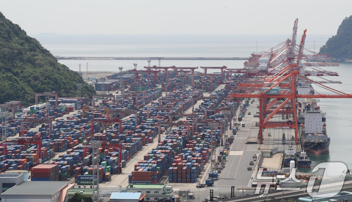 지난 11일 부산항 신선대부두 야적장에 컨테이너가 가득 쌓여 있다. 2025.6.11/뉴스1 ⓒ News1 윤일지 기자