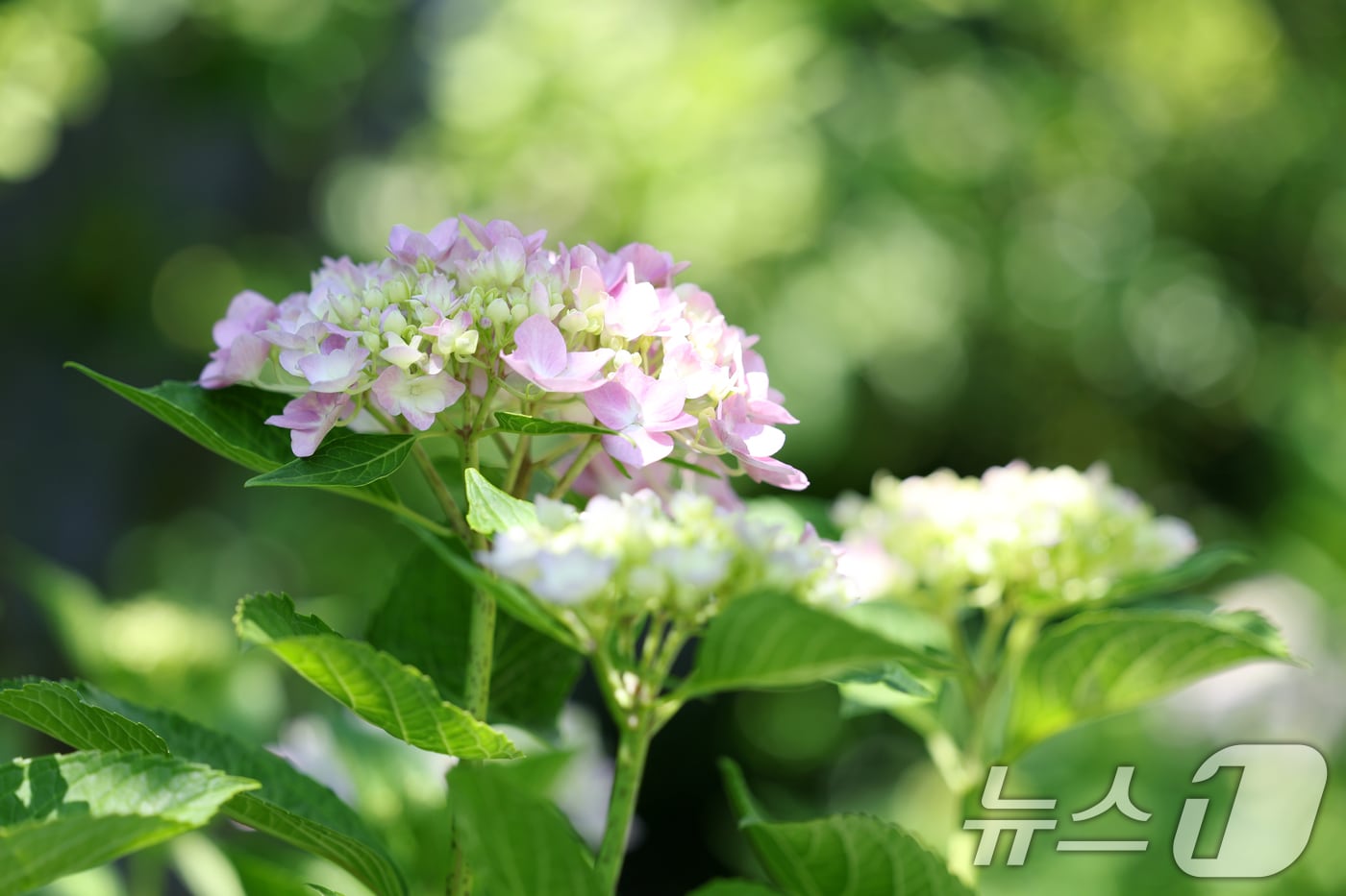 자료사진/뉴스1 ⓒ News1 