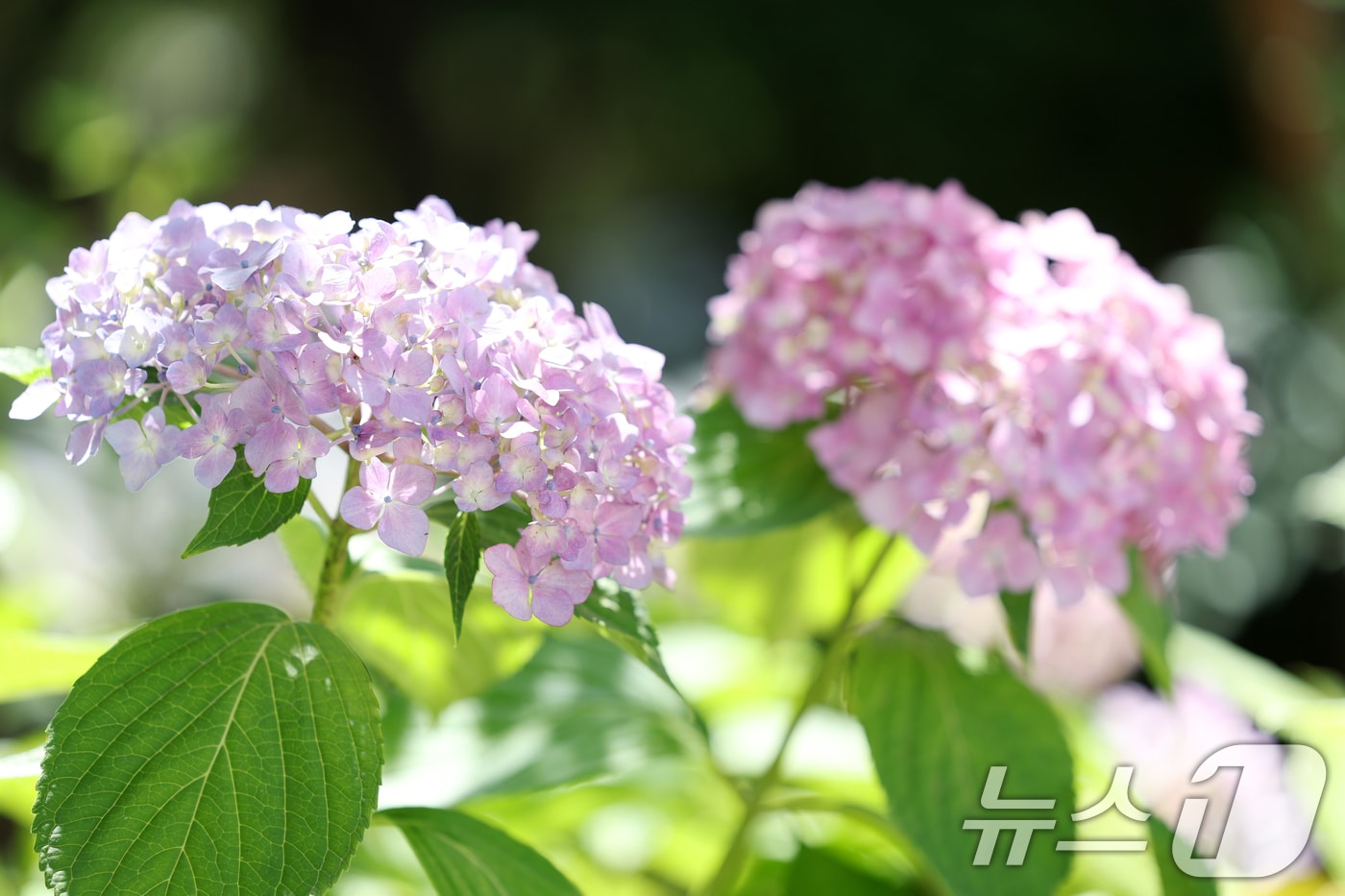 자료사진 / 뉴스1 ⓒ News1