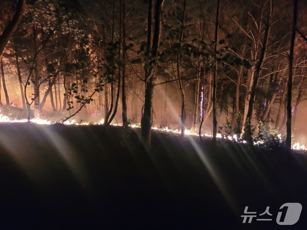 11일 오후 9시23분쯤 경북 포항시 북구 흥해읍 칠포리 곤륜산 정상 부근에서 원인을 알 수 없는 불이 났다. (독자제공, 제판메 및 DB금지) 2025.6.11/뉴스1 