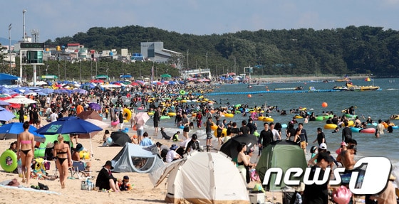 보령 대천해수욕장. / 뉴스1 