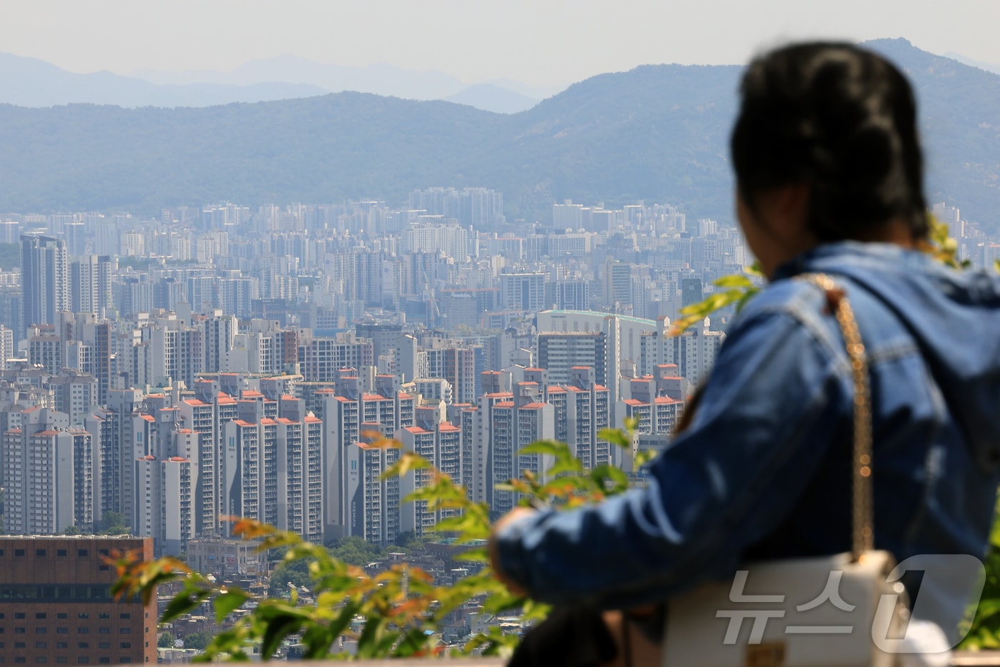 ⓒ News1 박정호 기자