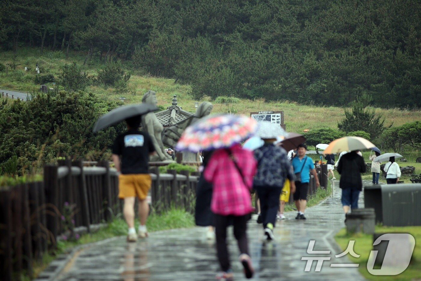 12일 오후 제주 서귀포시 안덕면 송악산 인근에 올해 첫 장맛비가 내리고 있다.2025.6.12/뉴스1 ⓒ News1 고동명 기자