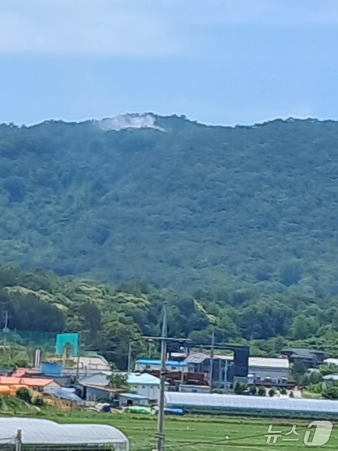 보령시 주포면 연지리에서 산불이 발생했다.(산림청 제공 ,재판매 및 DB 금지)/뉴스1