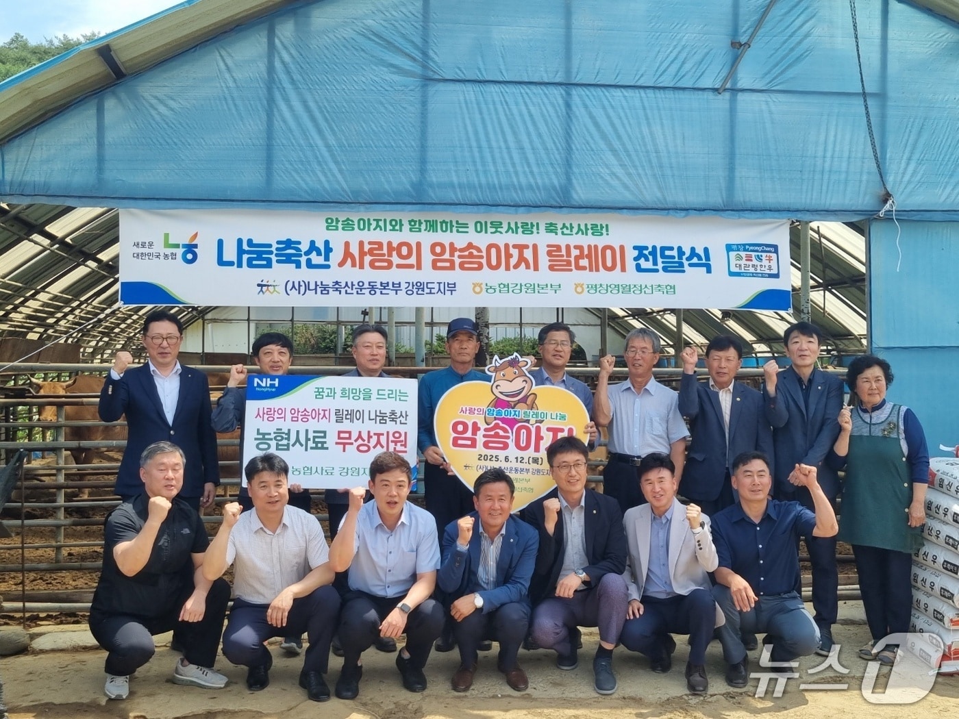 사랑의 암송아지 릴레이 전달식.(농협 강원본부 제공. 재판매 및 DB금지)/뉴스1