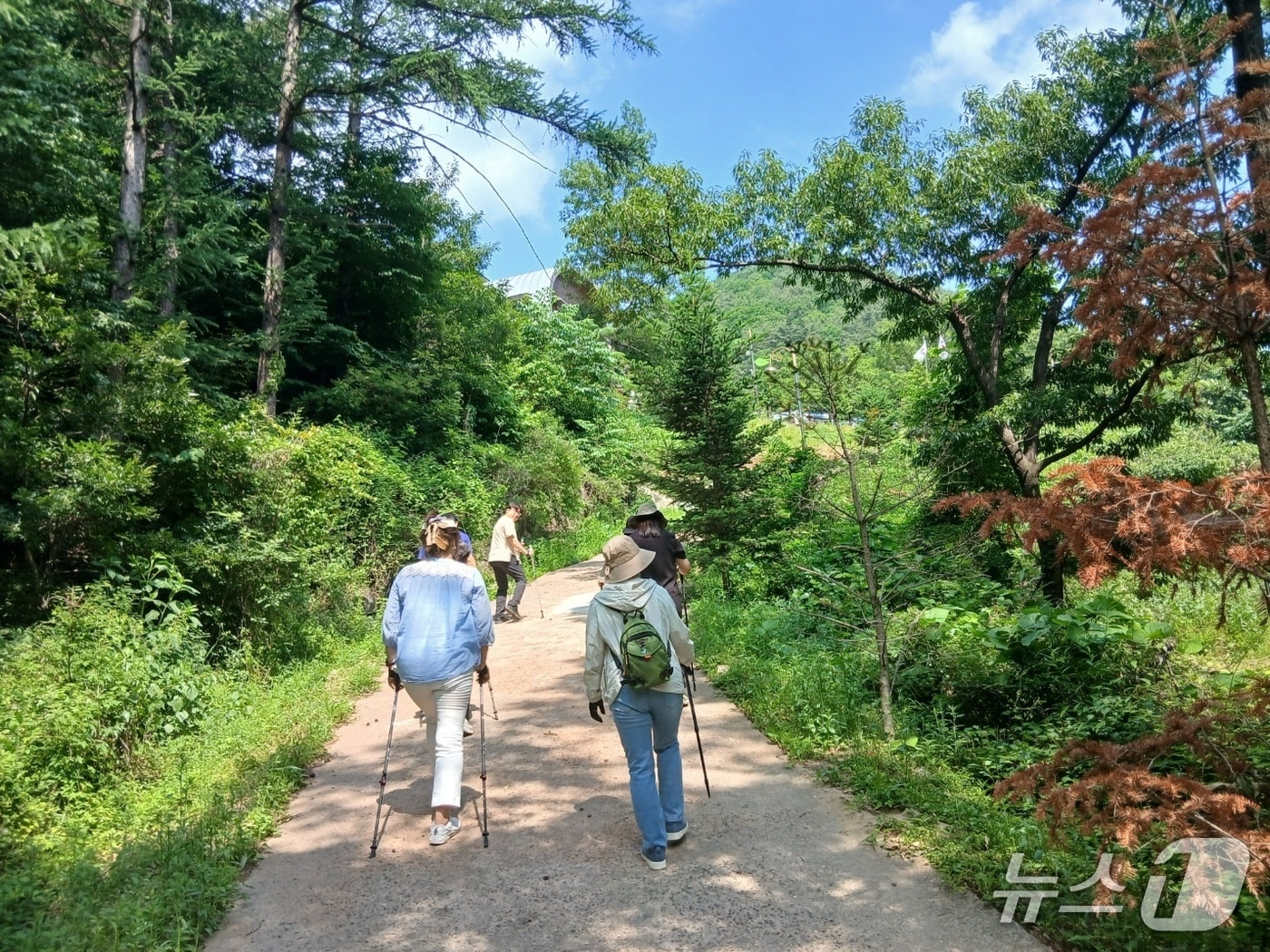 건강생활실천지원금제 연계 노르딕워킹 산림치유 프로그램 운영사진. (산림청 한국산림복지진흥원 제공.재판매 및 DB금지)/뉴스1 