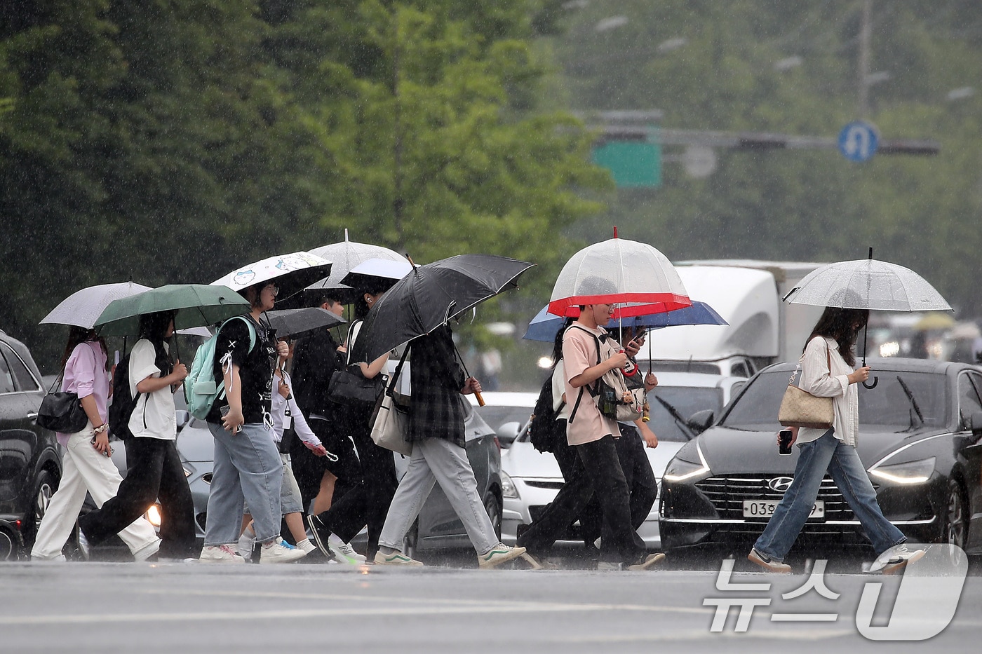 13일 오후 대구 달서구 계명대 성서캠퍼스 앞 도로에서 장맛비를 피해 우산을 쓴 시민들이 발걸음을 재촉하고 있다. 2025.6.13/뉴스1 ⓒ News1 공정식 기자