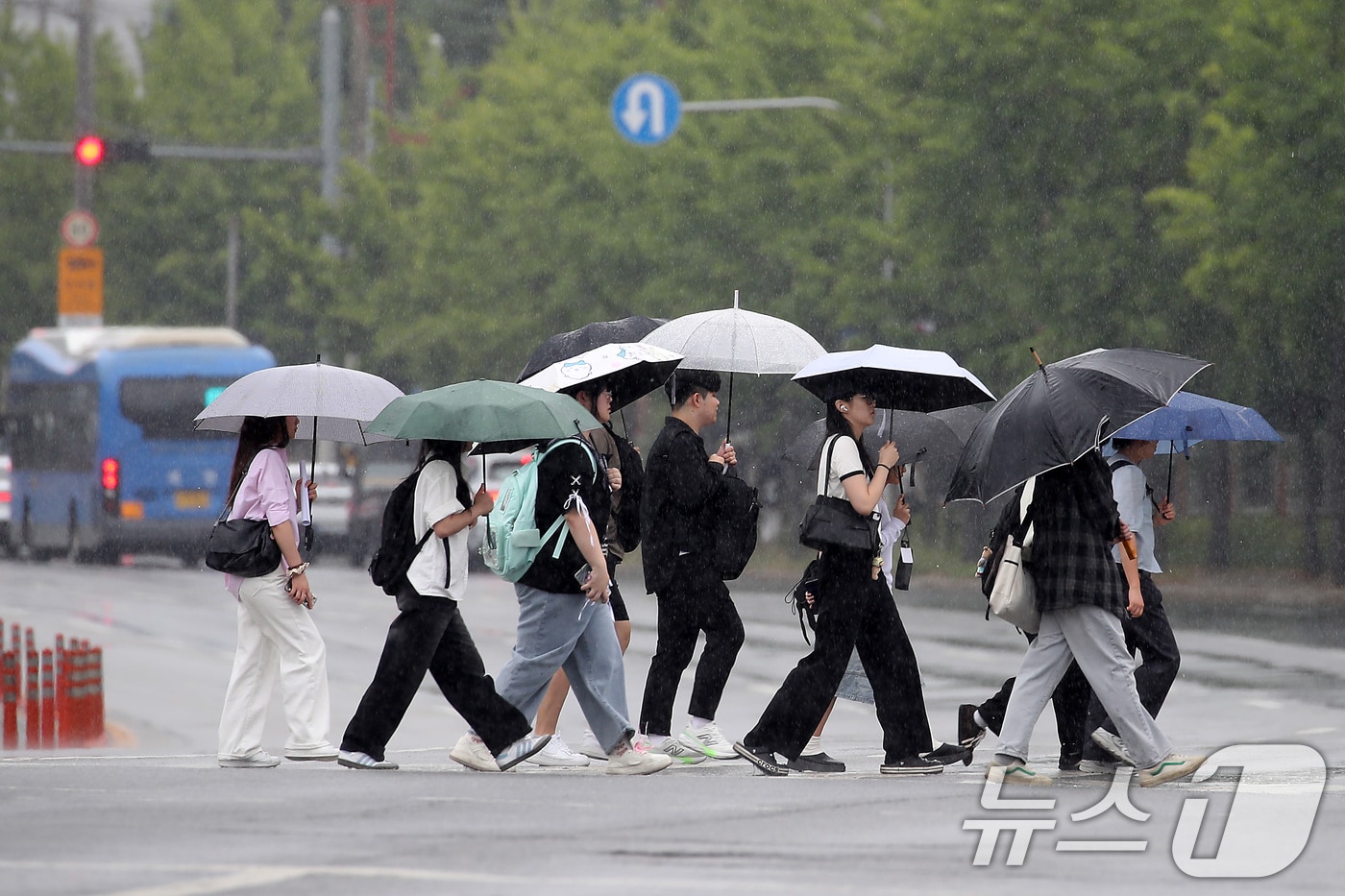 13일 오후 대구 달서구 계명대 성서캠퍼스 앞 도로에서 우산을 쓴 시민들이 발걸음을 재촉하고 있다. 2025.6.13/뉴스1 ⓒ News1 공정식 기자
