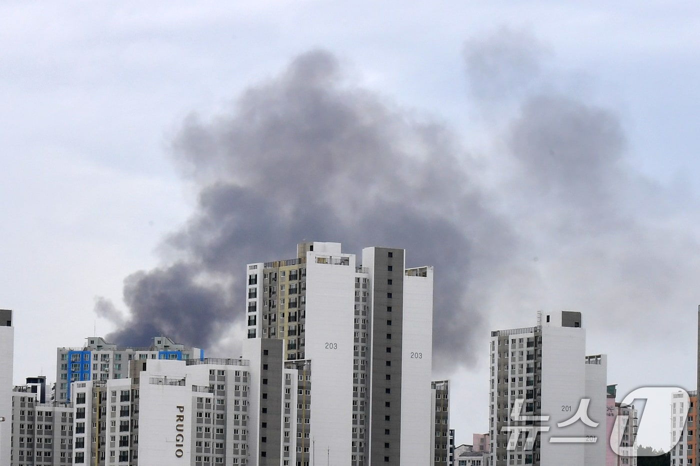 13일 오후 3시30분쯤 포항시 북구 흥해읍 이인리 산 정상 부근의 농막에서 불이 나 검은 연기가 도심으로 번지고 있다. ⓒ News1 최창호 기자