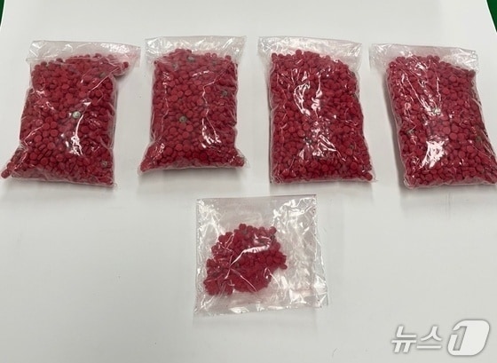 야바 자료사진. /뉴스1