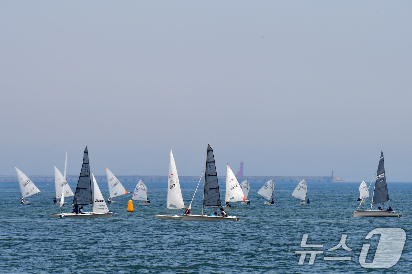 15일 경북 포항시 북구 영일대해수욕장 앞바다에서 열린 포항시장배 세일링 챔피언십 대회에서 선수들이 탄 요트가 반환점을 돌고 있다. 2025.6.15/뉴스1 ⓒ News1 최창호 기자