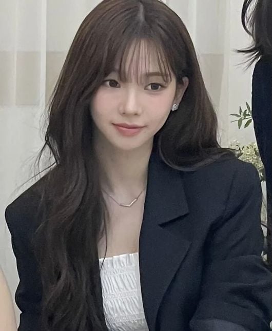 카리나/온라인 커뮤니티 캡처