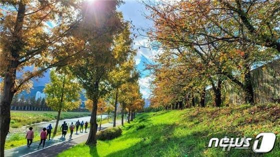 갈맷길 8코스 수영강변(부산시청 제공.재판매 및 DB 금지)