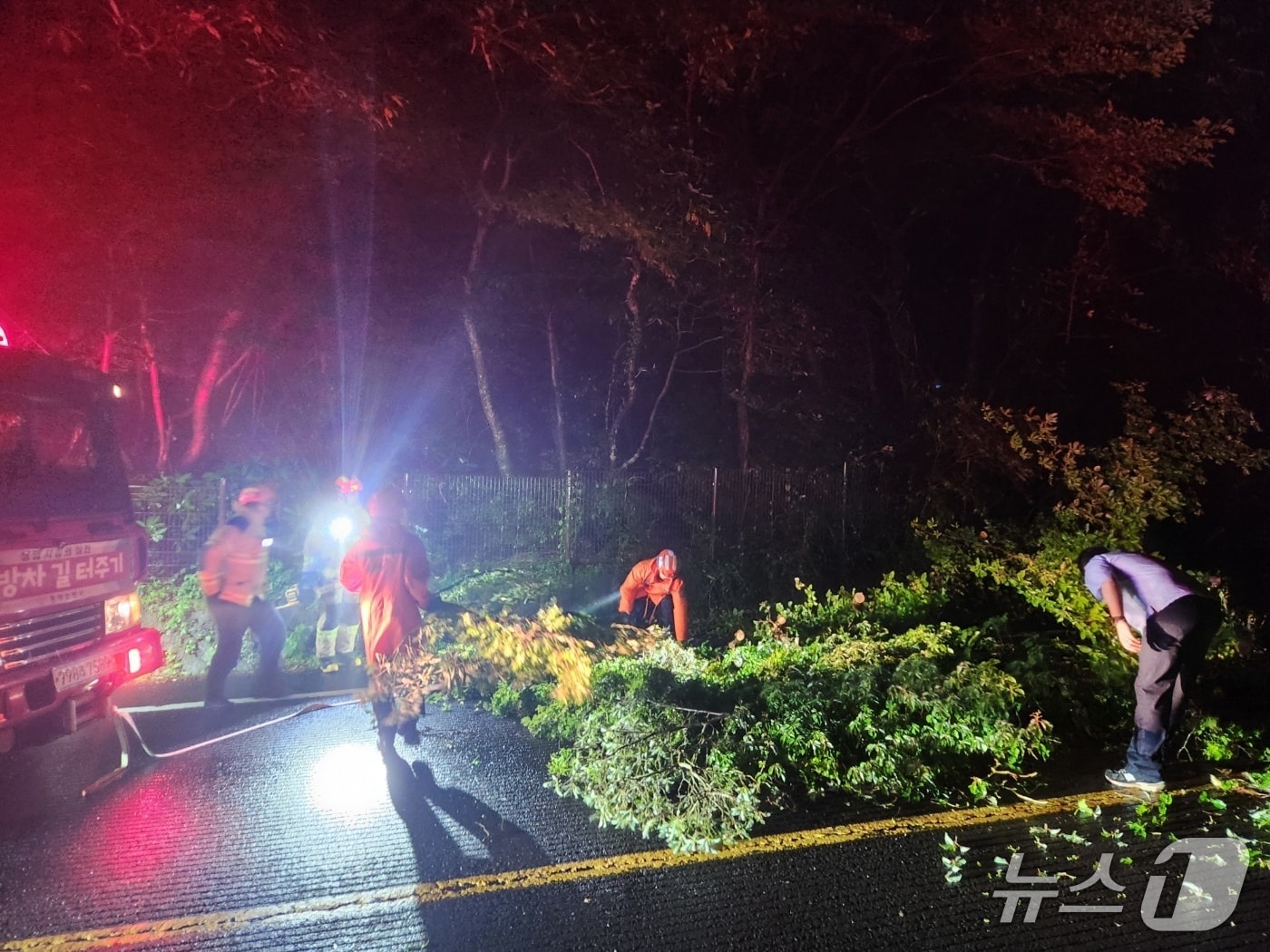 지난 15일 밤 제주 서귀포시 남원읍 신례리에서 강한 비로 인해 나무가 쓰러져 소방당국이 안전조치를 하고 있다.(제주도소방안전본부 제공. 재판매 및 DB 금지)