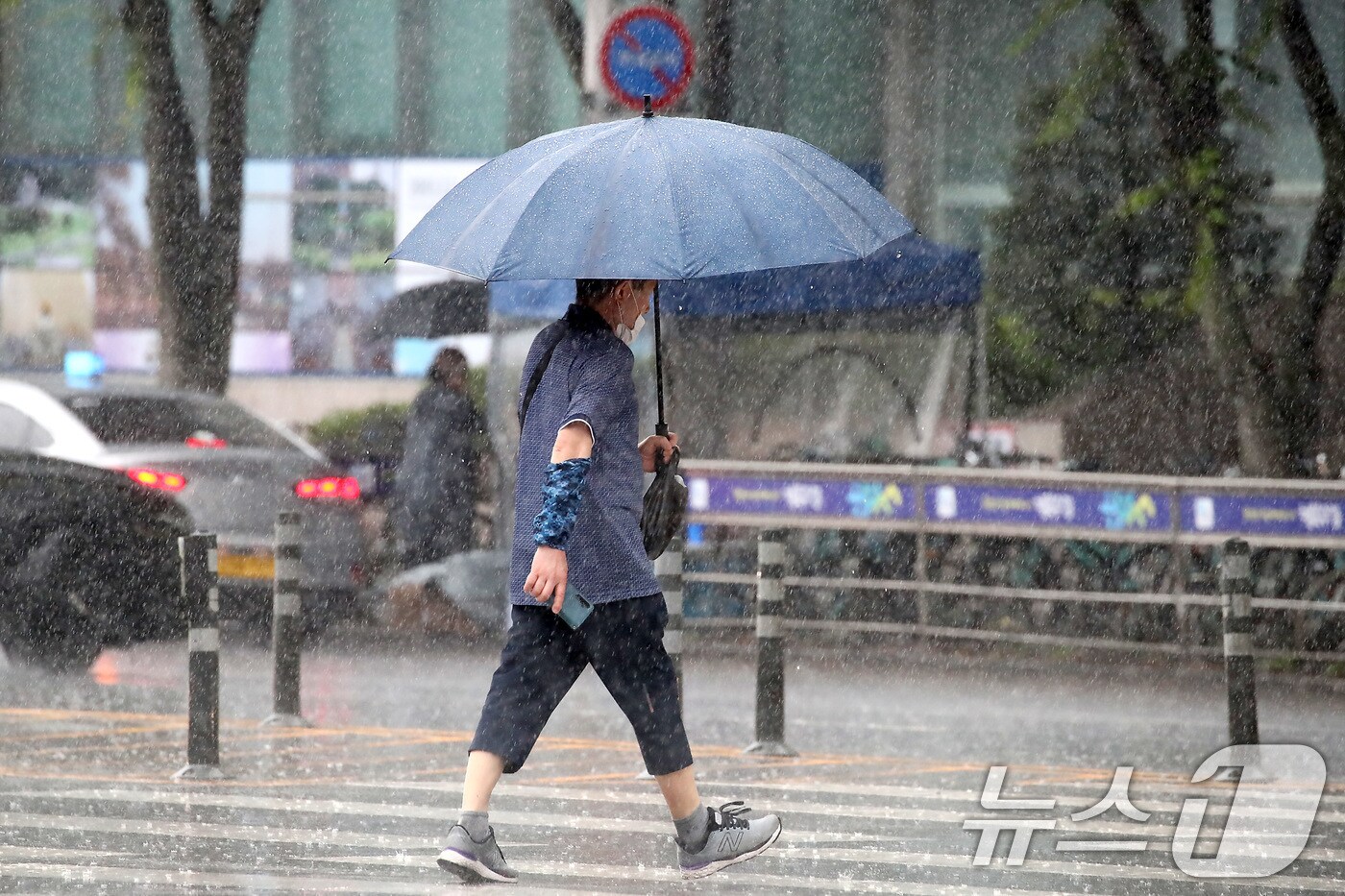 16일 오전 대구 수성구 달구벌대로에 많은 비가 쏟아지자 시민들이 우산을 펼쳐 비를 피하며 길을 건너고 있다. 2025.6.16/뉴스1 ⓒ News1 공정식 기자