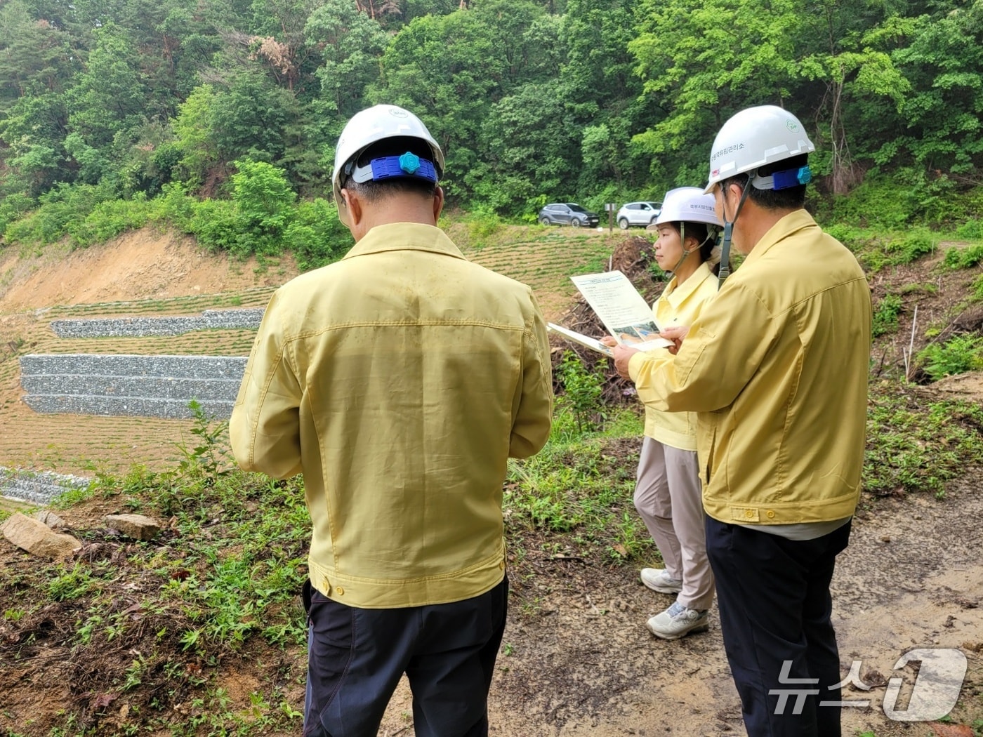 강혜영 북부지방산림청장을 비롯한 청 관계자들이 16일 경기 양평군 양동면 일대 산사태취약지역 등을 점검했다. (북부지방산림청 제공. 재판매 및 DB금지) 2025.6.16/뉴스1