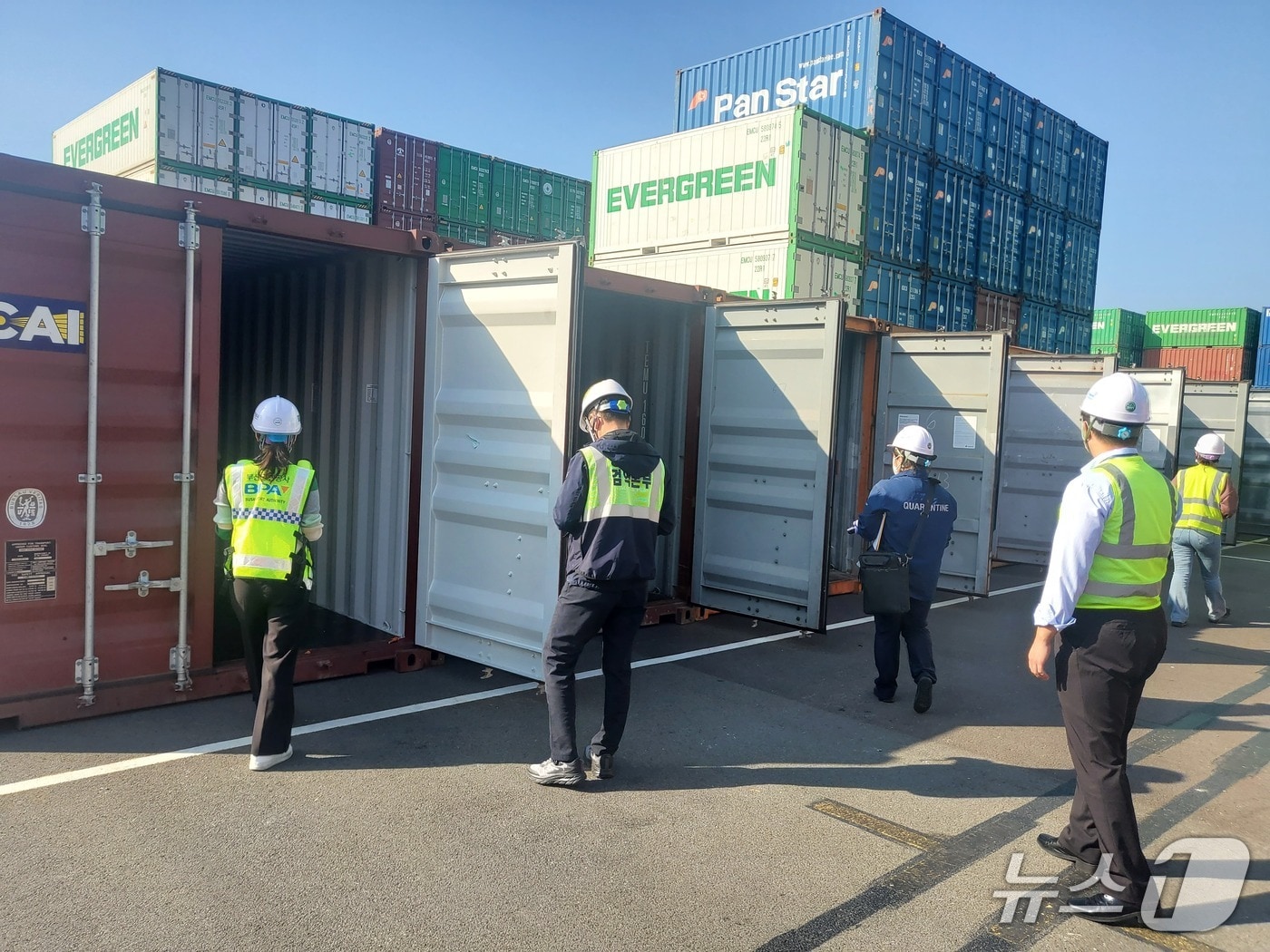 부산해수청과 등 기관 관계자들이 부산항에서 공컨테이너 실태조사를 하고 있다.(부산해수청 제공. 재판매 및 DB 금지)