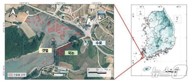 진도지역 갯줄풀 분포 현황.(영산강유역환경청 제공. 재판매 및 DB 금지)