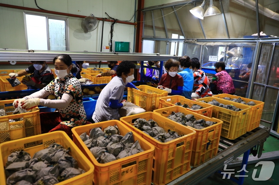 곡성배영농조합법인이  농림축산식품부 주관 '농산물전문생산단지 운영실태 평가'에서 7년 연속 '최우수' 등급을 획득했다(곡성군 제공)