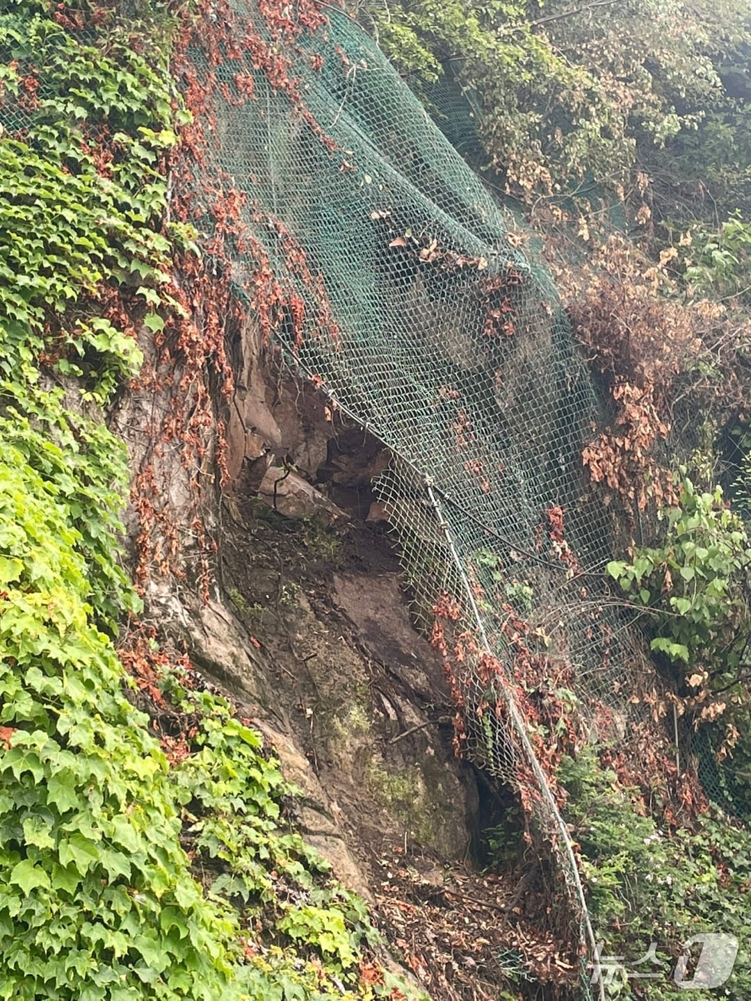 춘천 후평동 강변삼거리에서 소양1교 방향 낙석.(춘천시 제공, 재판매 및 DB금지)