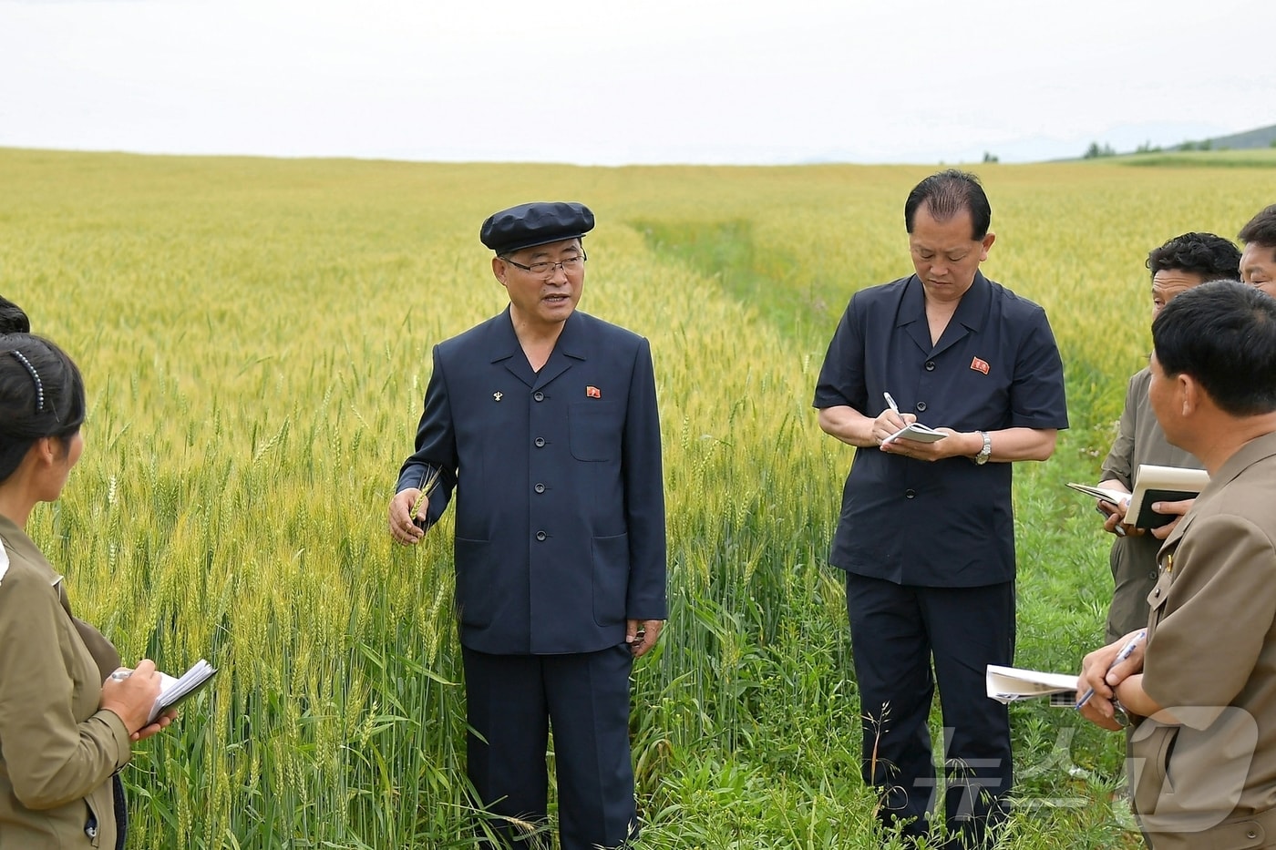 (평양 노동신문=뉴스1) = 북한 노동당 기관지 노동신문은 18일 "박태성 내각총리가 인민경제 여러 부문 사업을 현지에서 료해(점검)했다＂면서 신계군 신흥농장과 대성농장, 수안군 석교농장, 대안친선유리공장, 대풍첨가제공장 등을 방문했다고 보도했다. [국내에서만 사용가능. 재배포 금지. DB 금지. For Use Only in the Republic of Korea. Redistribution Prohibited] rodongphoto@news1.kr