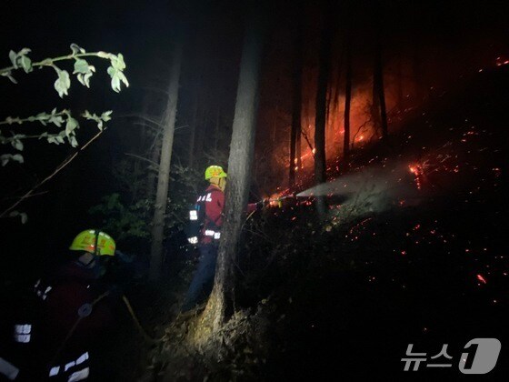 산불 현장에서 진화작업 중인 대원들.(사진은 기사와 관련없음)/뉴스1 DB