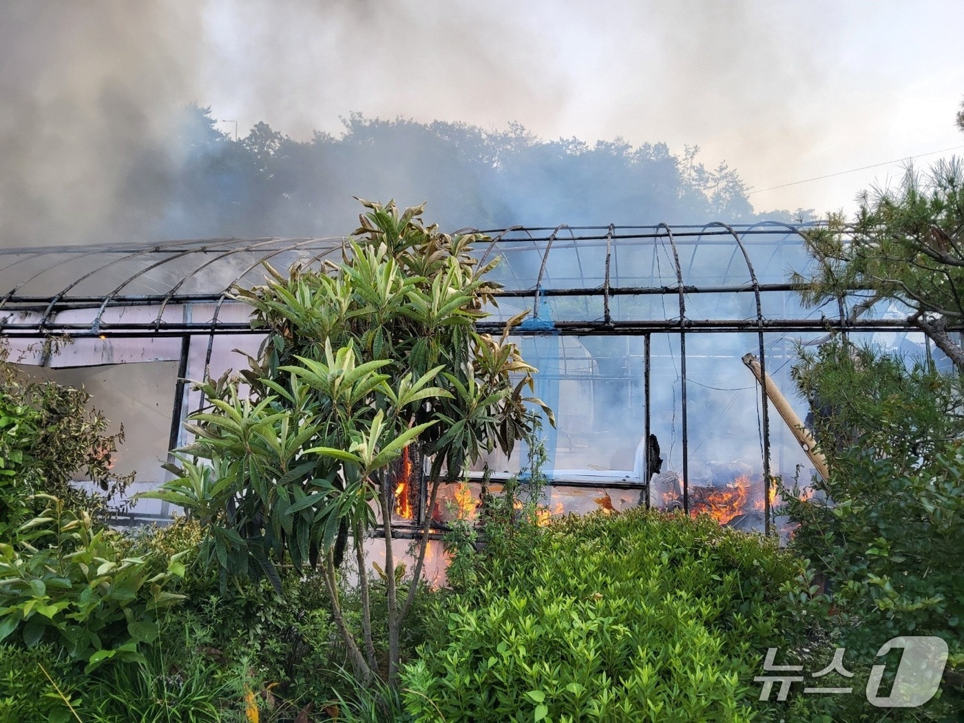 18일 오전 울산 울주 범서읍 서사리의 한 농막에서 화재가 발생했다.&#40;울산소방본부 제공. 재판매 및 DB 금지&#41;