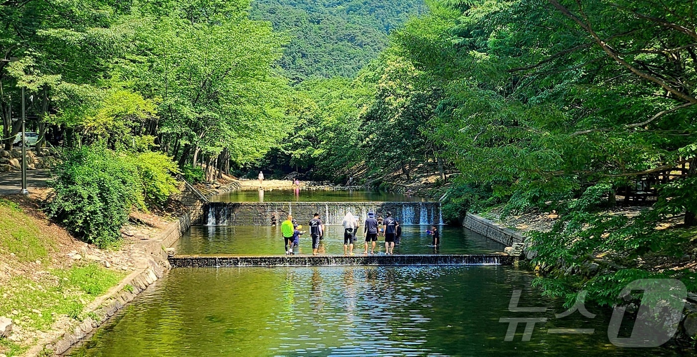 22일 충북과 세종은 맑고 낮 기온이 30도까지 오르겠다.(자료사진)/뉴스1 ⓒ News1 유경석 기자