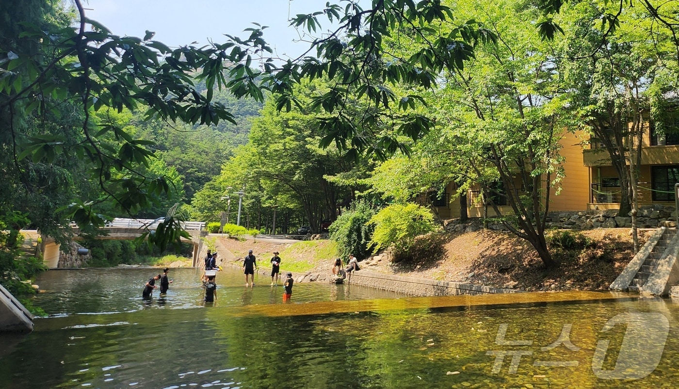 연일 무더운 날씨가 이어지고 있는 18일 전북 완주군 고산자연휴양림을 찾은 피서객들이 물놀이를 즐기며 더위를 식히고 있다. ⓒ News1 유경석 기자