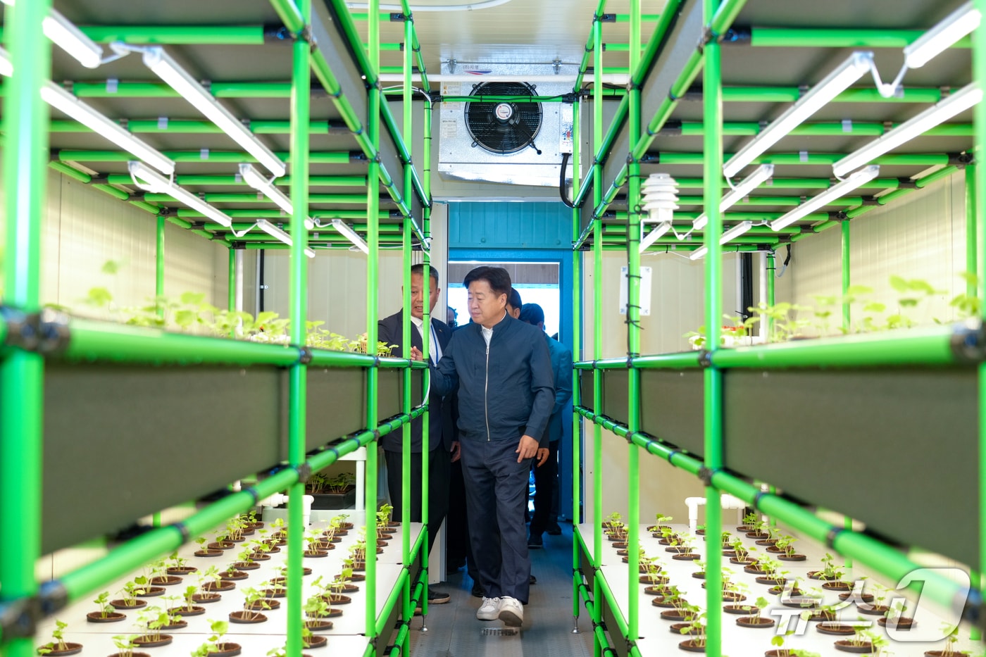  컨테이너 식물공장(제주도 제공)/뉴스1
