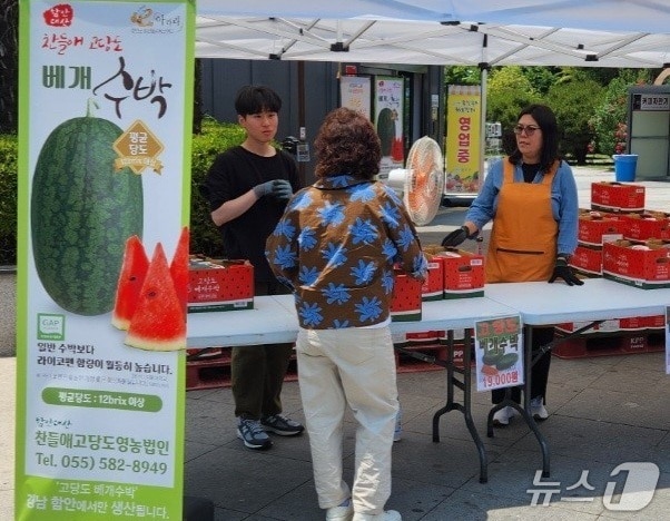 함안군 '베개수박' 홍보행사(함안군 제공. 재판매 및 DB금지).