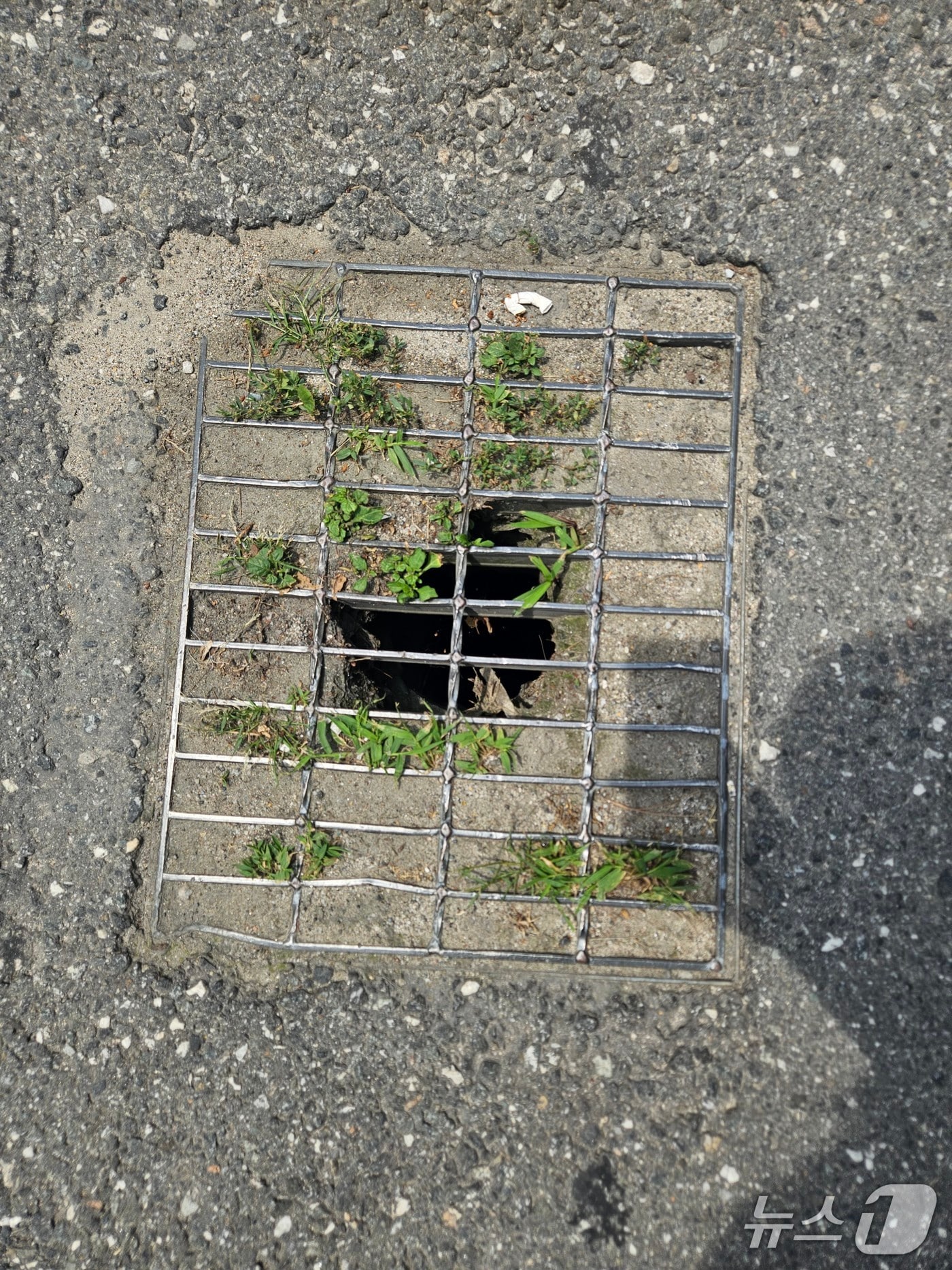 19일 오전 강원 춘천 근화동의 한 배수구가 모래로 막혀 있었다.2025.6.19 한귀섭 기자 