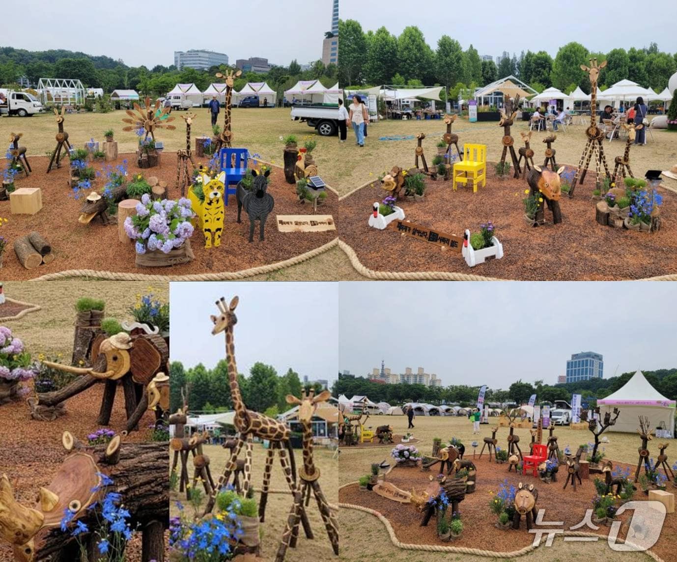 은평 사파리 월드 전시 모습.(은평구 제공)