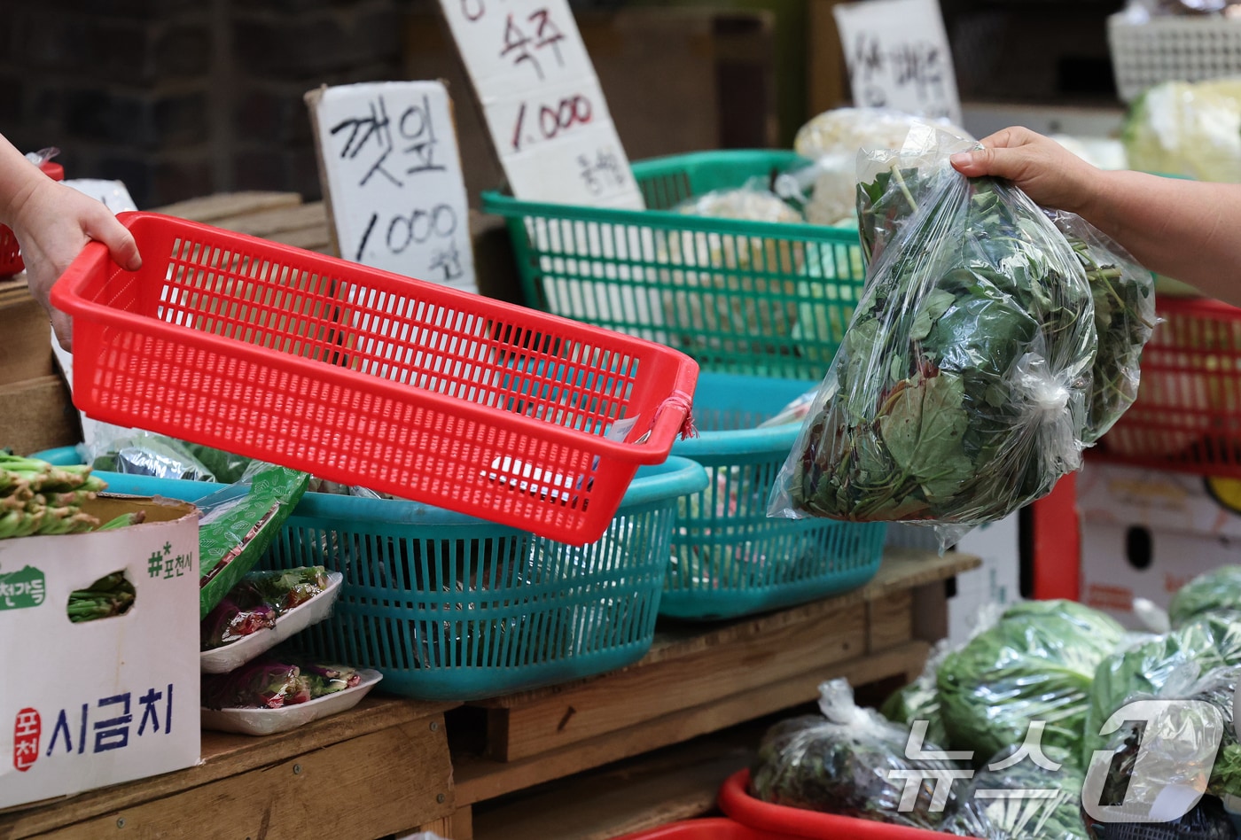 정부가 소비 진작 등 내수 활성화를 위해 20조 원 규모의 2차 추가경정예산안을 국무회의에서 의결한 가운데 19일 오후 서울 마포구 망원시장에서 시민들이 장을 보고 있다. 새 정부 출범 후 마련된 첫 추가경정예산안에는 전 국민에게 15만~50만원을 지급하는 민생회복지원금, 1억 원 이하 빚을 갚지 못하고 있는 저소득 자영업자에 대한 최대 90% 채무 탕감 방안 등이 담겼다. 2025.6.19/뉴스1 ⓒ News1 오대일 기자