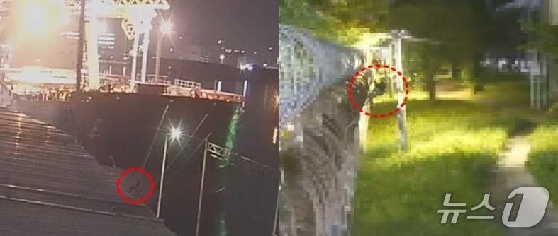 A 씨가 홋줄을 타고 내려오는 모습과 보안울타리 월담시도 모습.(인천항보안공사 제공. 재배포 및 DB금지)2025.6.19/뉴스1