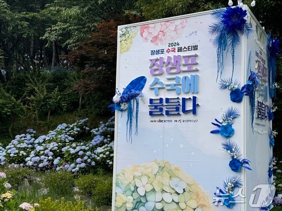 2024년 장생포 수국 페스티벌. 2024.06.06ⓒ News1 김세은 기자