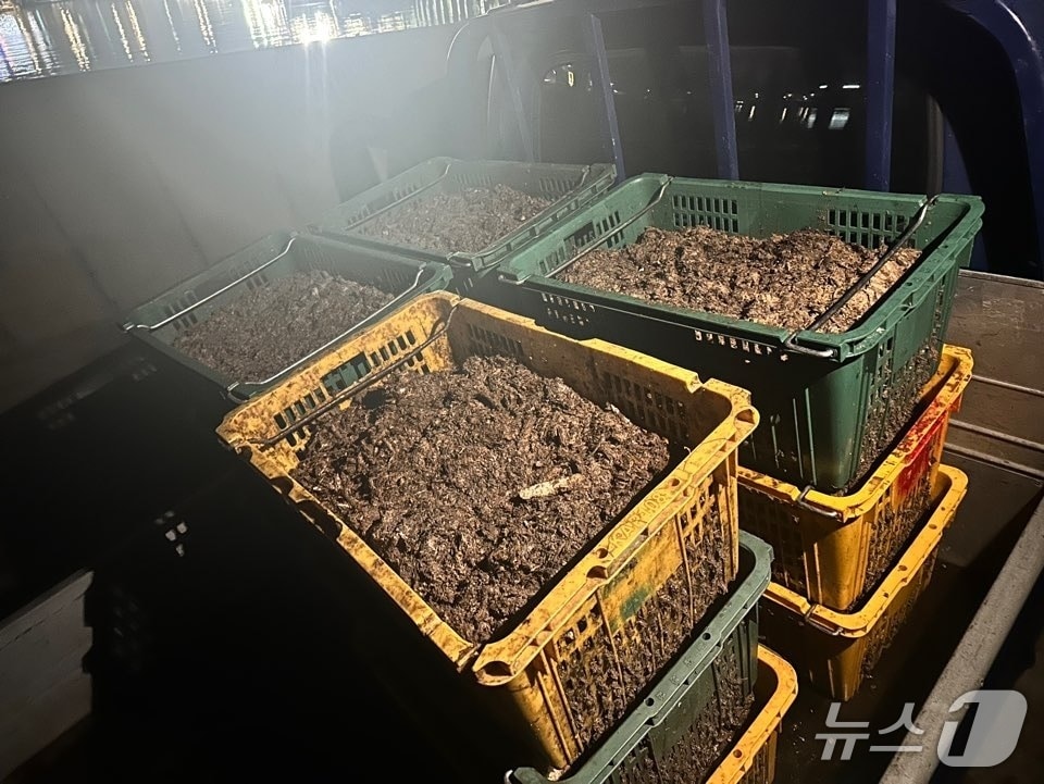 군산 비응항 바다에 무단 투기된 멸치젓 찌꺼기.&#40;군산해경 제공. 재판매 및 DB금지&#41;