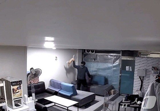 지난해 11월 부산 사하구 한 사무실에서 고양이가 학대당하는 CCTV 장면.&#40;시민단체 카라 제공&#41;