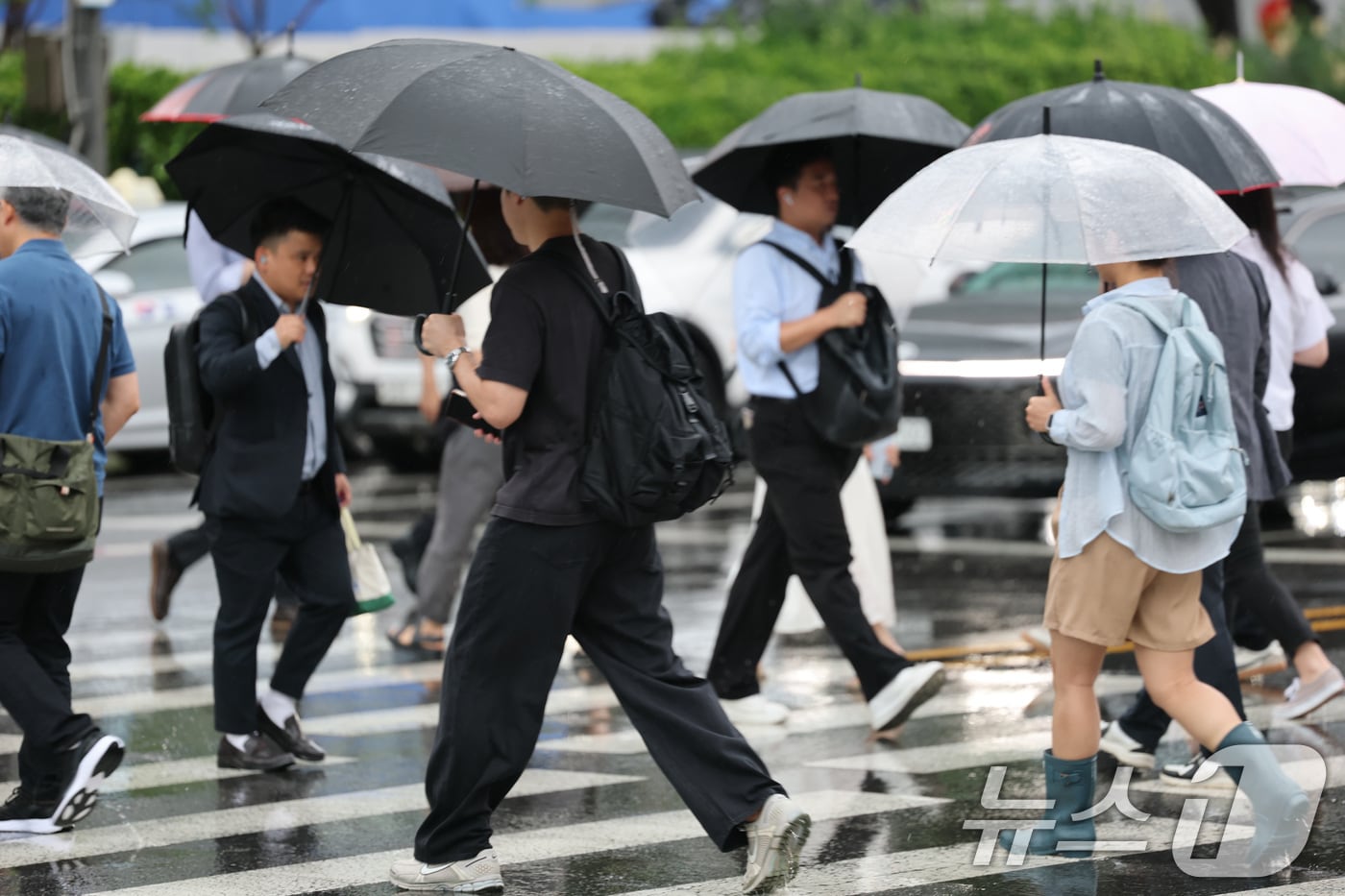 자료사진/뉴스1