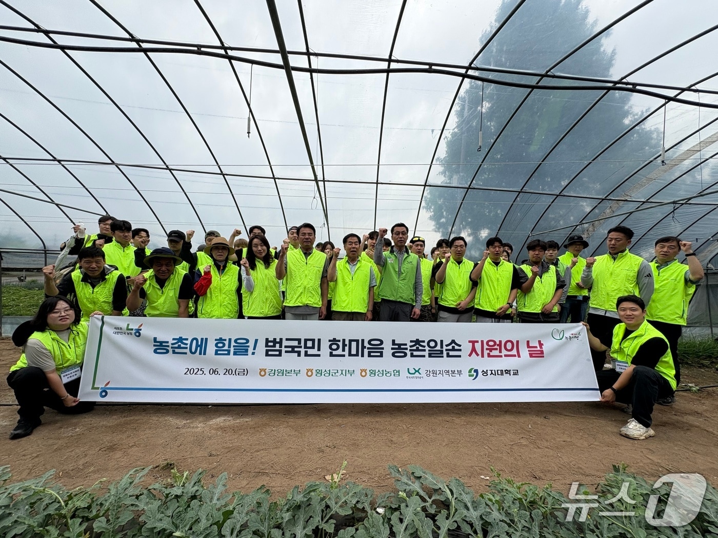 농촌일손돕기.(농협 강원본부 제공. 재판매 및 DB금지)/뉴스1