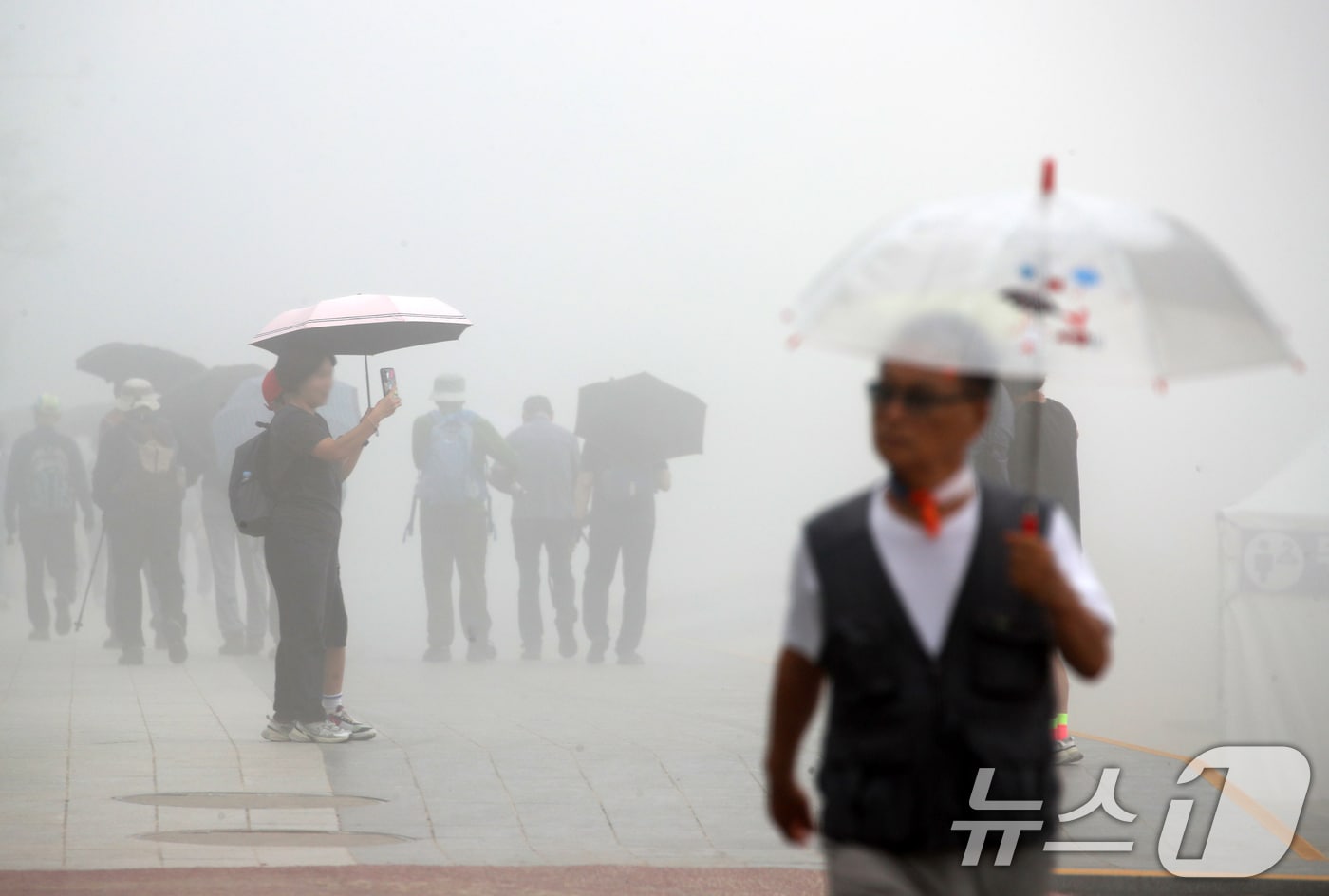 20일  우산을 쓴 시민들이 발걸음을 옮기고 있다. 2025.6.20/뉴스1 ⓒ News1 윤일지 기자