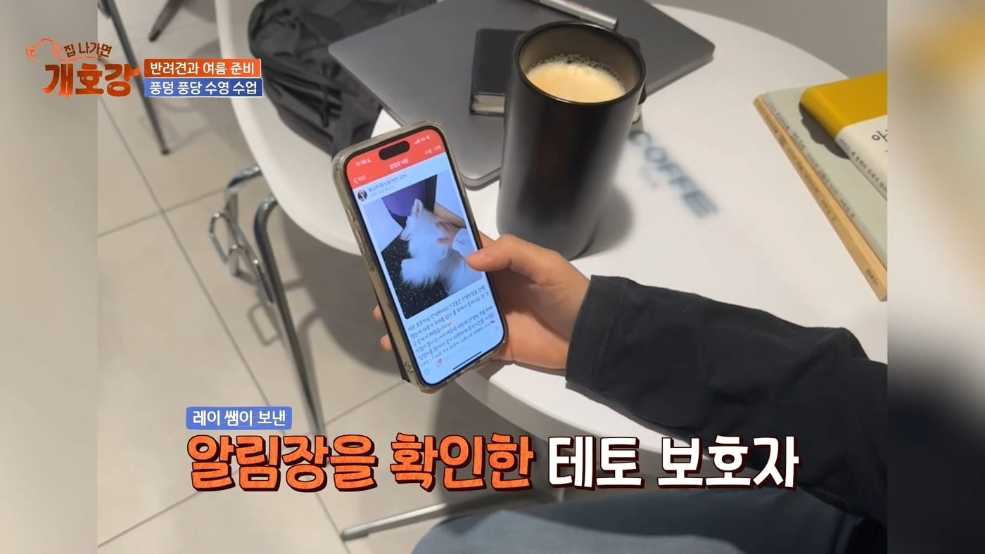 (JTBC 집 나가면 개호강 화면 갈무리)