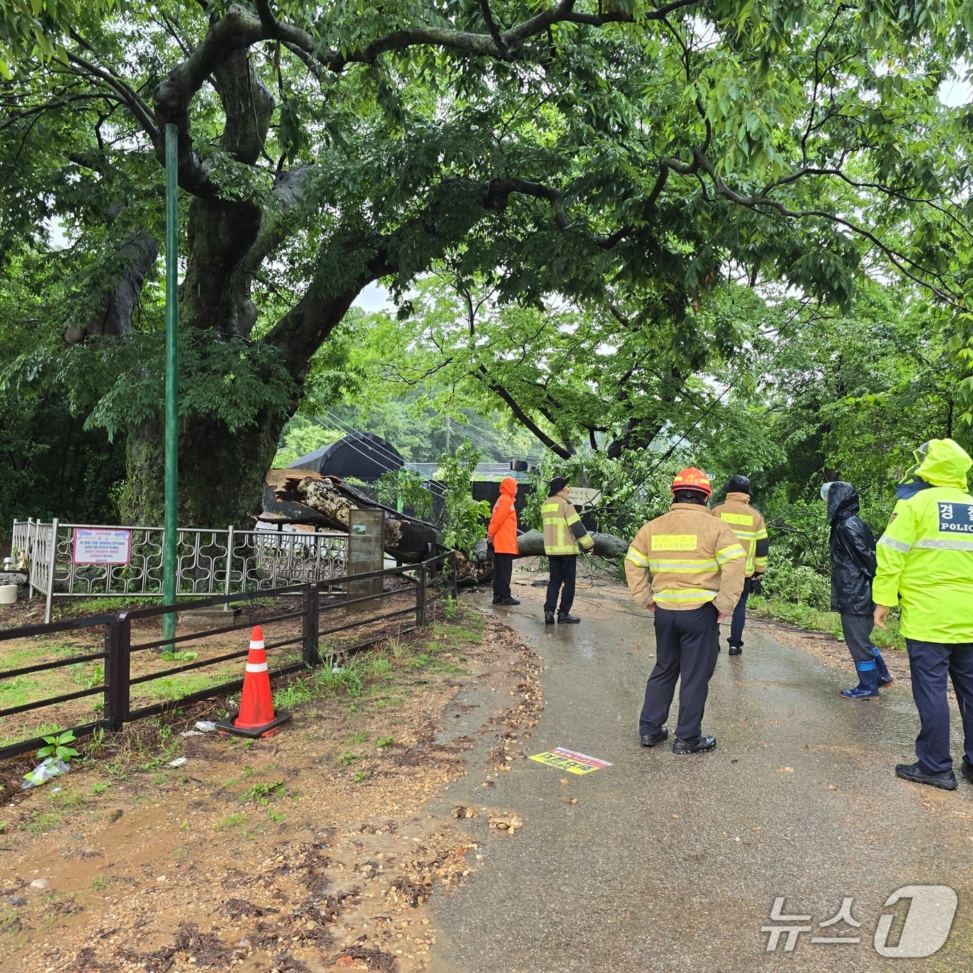 경기북부경찰청 제공. 2025.6.20/뉴스1 ⓒ News1