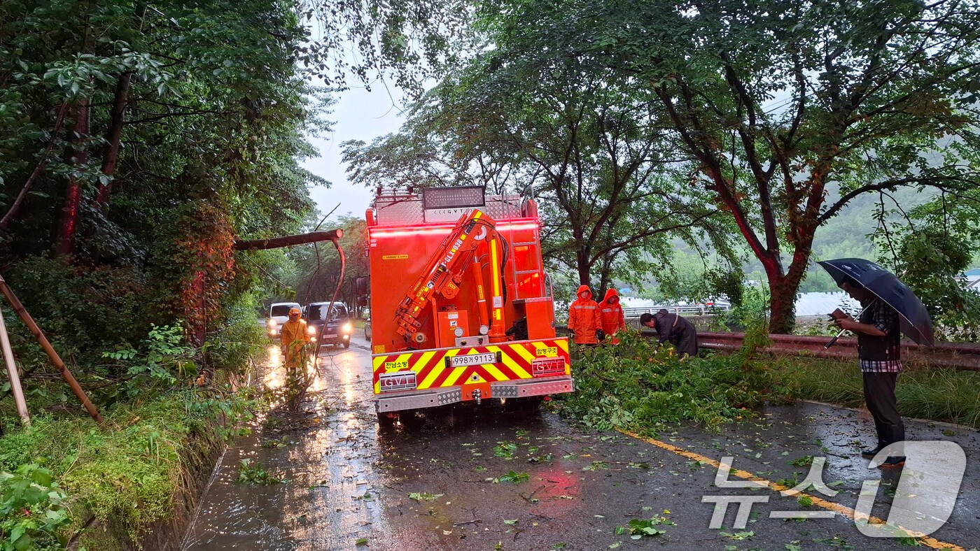 장맛비가 이어지고 있는 21일 오전 6시 40분쯤 함평군 대동면의 한 도로에 나무가 쓰러져 소방당국이 안전조치를 하고 있다. (전남소방 제공. 재판매 및 DB 금지) ⓒ News1 이승현 기자
