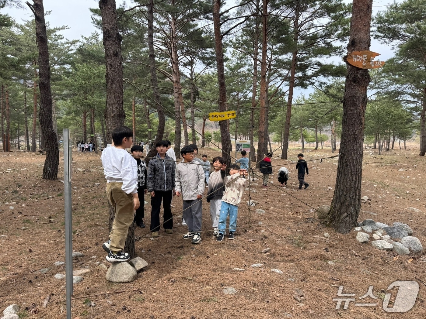 강원 인제 산골 생태유학.(인제군 제공, 재판매 및 DB금지)