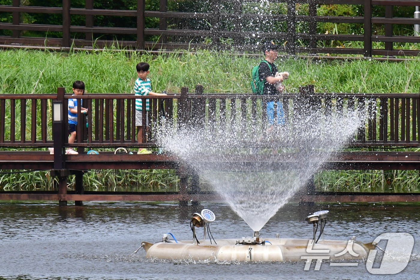 22일 경북 포항시 북구 우창동 마장지에서 어린이들이 분수대에서 뿜어져 나오는 물줄기를 지켜보고 있다. 2025.6.22/뉴스1 ⓒ News1 최창호 기자